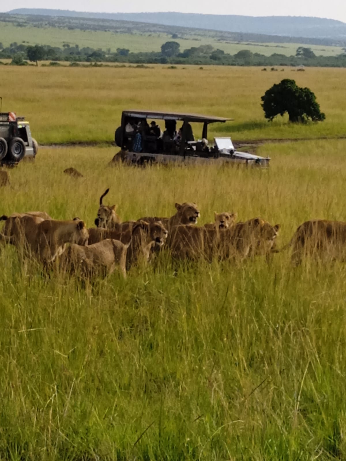 Kenya Tour
